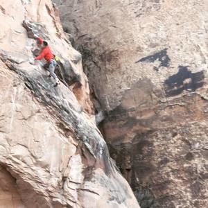 Meet your Posher, Nicholas